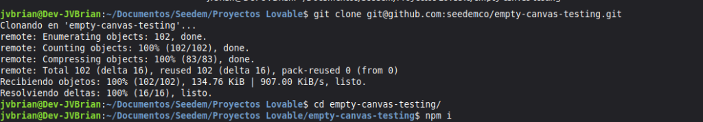 Terminal dentro de la carpeta del proyecto con el comando npm i escrito