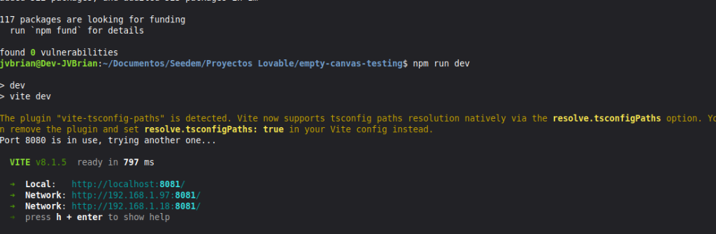 Terminal mostrando el comando npm run dev y la salida de Vite con la dirección http://localhost:8081