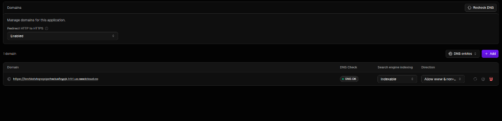 Página Domains con el dominio https configurado y el estado "DNS OK"