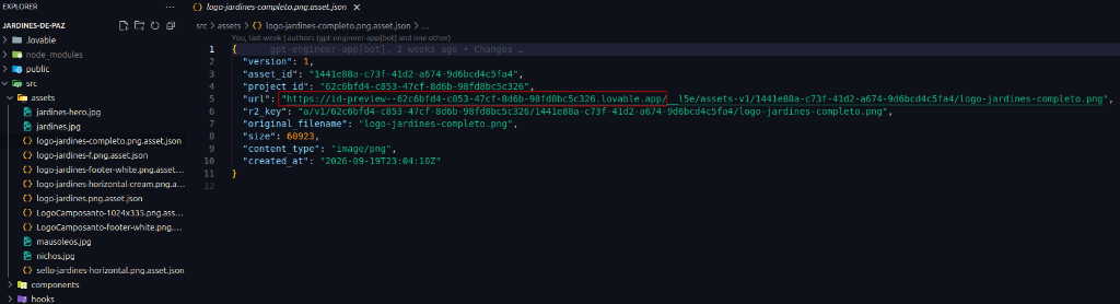 Archivo .asset.json en src/assets con el campo url señalado